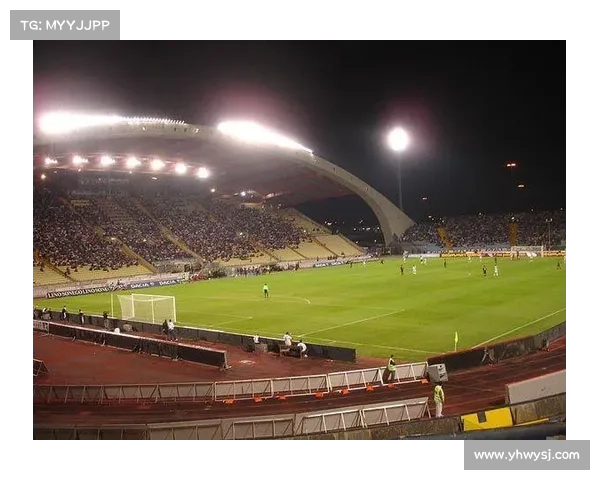 为什么意甲球队无法拥有自主球场原因分析及其背后困境 为什么意甲球队无法拥有自主球场原因分析及其背后困境